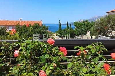 /international/hr/zadar-zadar-county-310100795496/