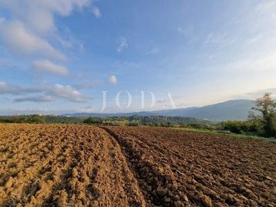 /international/hr/buzet-istria-county-310105341122/