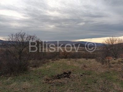 /international/hr/drnis-sibenska-ulica-120090831683/