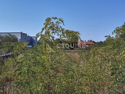 /international/hr/nin-zadar-county-310101603929/