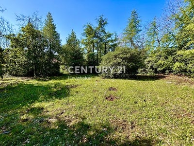 /international/hr/istarska-zupanija-istria-county-310106856667/