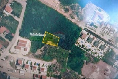 /international/hr/privlaka-vukovar-srijem-county-310103392046/