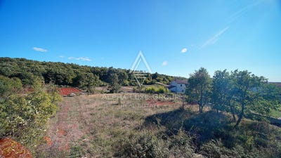 /international/hr/istarska-zupanija-istria-county-310103745396/