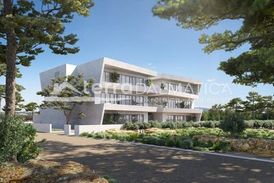 /international/hr/ugljan-zadar-county-310108648925/