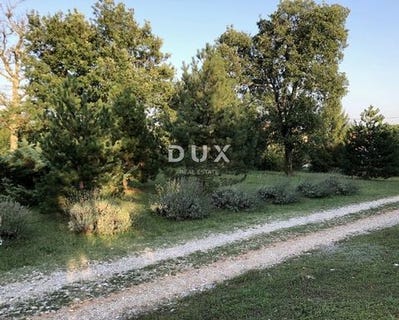 /international/hr/labin-istria-county-310108458865/