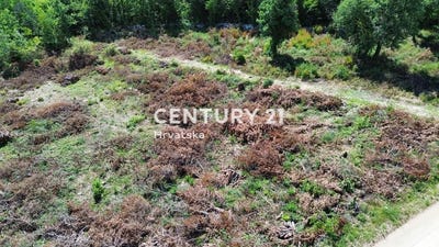 /international/hr/istarska-zupanija-istria-county-310106858244/