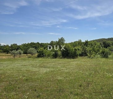 /international/hr/rovinj-istria-county-310108842356/