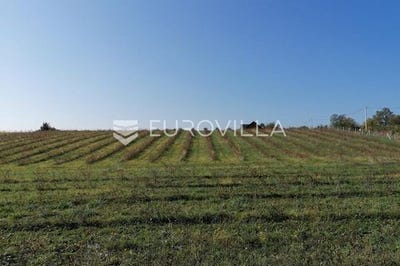 /international/hr/osijek-osijek-baranja-county-120097096519/