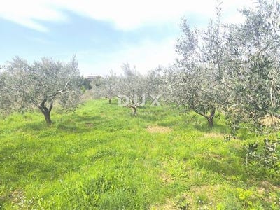 /international/hr/medulin-istria-county-310107366430/