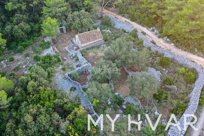 /international/hr/stari-grad-split-dalmatia-county-120092197558/