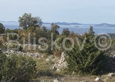 /international/hr/rogoznica-sibenska-ulica-310106632435/