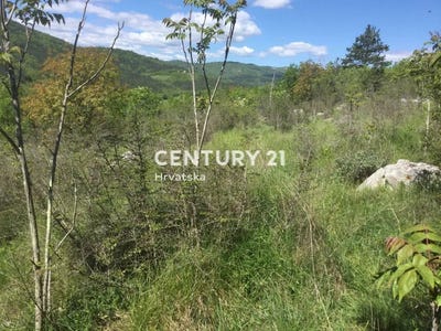 /international/hr/istarska-zupanija-istria-county-310096247793/