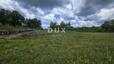 /international/hr/pican-istria-county-310108163264/