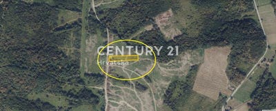 /international/hr/bjelovarsko-bilogorska-zupanija-bjelovar-bilogora-county-310106855383/