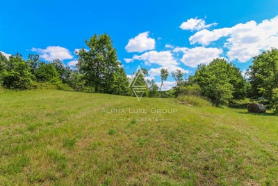 /international/hr/istarska-zupanija-istria-county-310103748431/