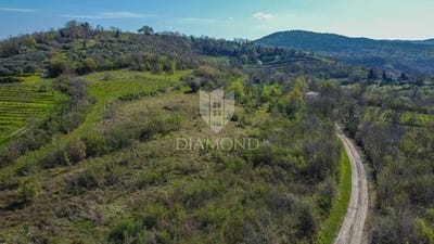 /international/hr/motovun-istria-county-120098501824/