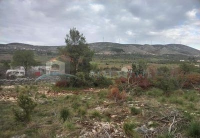 /international/hr/sibenik-sibenska-ulica-120097205038/