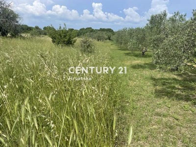 /international/hr/zadarska-zupanija-zadar-county-310106857615/