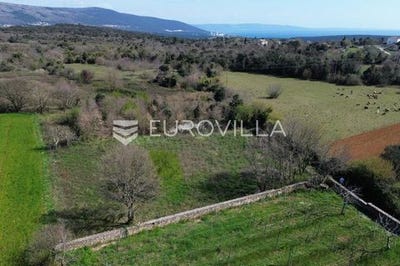 /international/hr/pula-istria-county-310107148652/