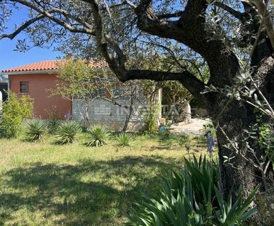/international/hr/vodnjan-istria-county-310107758750/