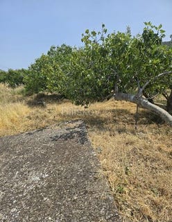 /international/hr/marina-split-dalmatia-county-310100830587/