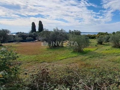 /international/hr/fazana-istria-county-310104800642/