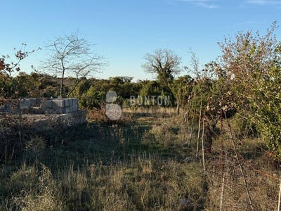 /international/hr/zadarska-zupanija-zadar-county-310108049038/