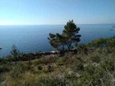 /international/hr/sveta-nedjelja-split-dalmatia-county-310108940702/