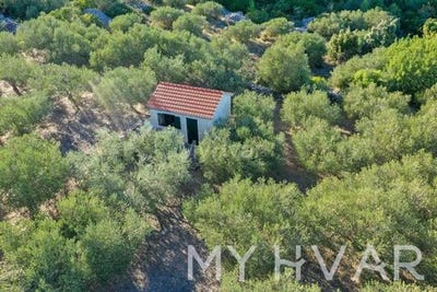/international/hr/stari-grad-split-dalmatia-county-310102991166/
