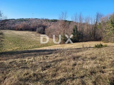 /international/hr/buzet-istria-county-120097795958/