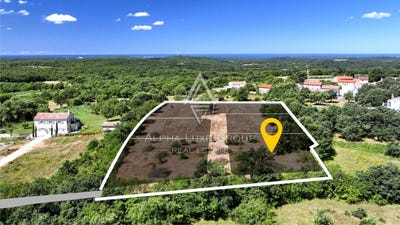 /international/hr/istarska-zupanija-istria-county-310103746706/