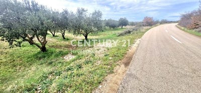 /international/hr/zadarska-zupanija-zadar-county-310106855768/
