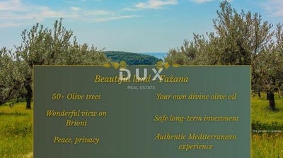 /international/hr/fazana-istria-county-310104800384/