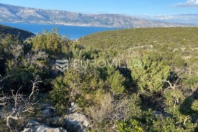 /international/hr/stari-grad-split-dalmatia-county-310104892720/