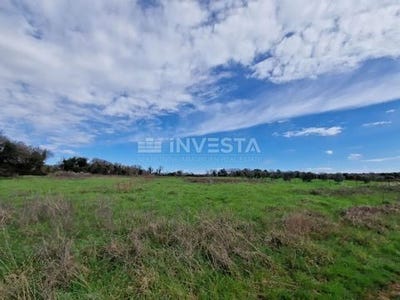 /international/hr/liznjan-istria-county-120095672996/