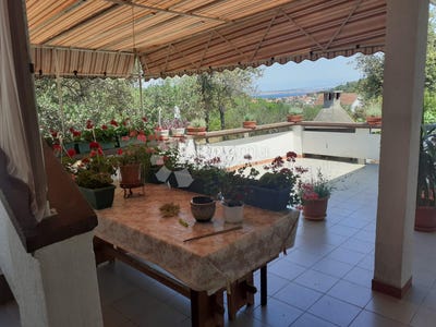 /international/hr/kukljica-zadar-county-310100556380/