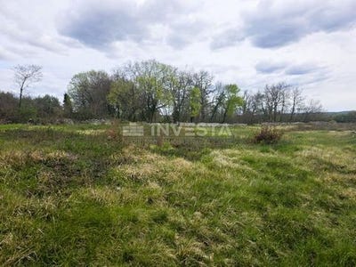 /international/hr/kanfanar-istria-county-310107066988/