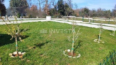 /international/hr/vodnjan-istria-county-310107864193/
