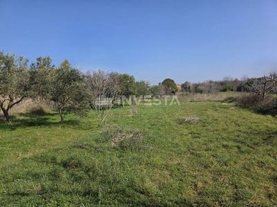/international/hr/fazana-istria-county-310106020906/
