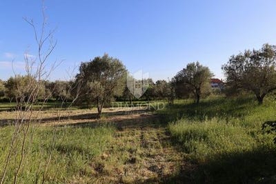 /international/hr/pula-istria-county-310107707296/
