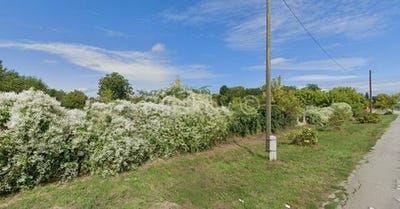 /international/hr/osijek-osijek-baranja-county-310100362378/