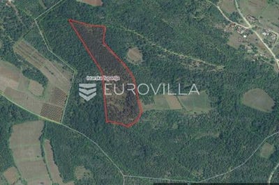 /international/hr/porec-istria-county-310106548022/