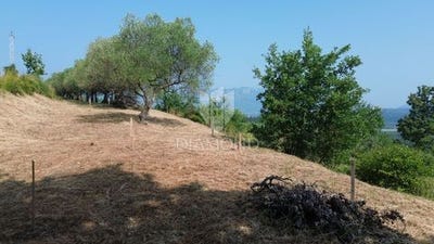 /international/hr/pican-istria-county-310104809610/