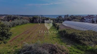/international/hr/umag-istria-county-310106942442/