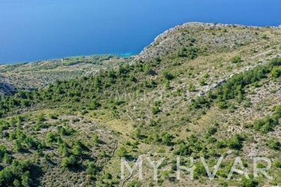 /international/hr/stari-grad-split-dalmatia-county-310102747584/