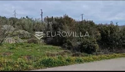 /international/hr/zadar-zadar-county-310102784277/