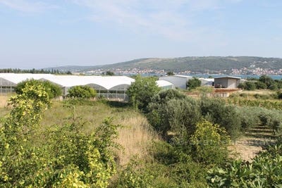 /international/hr/trogir-split-dalmatia-county-310107218330/