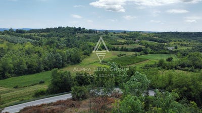 /international/hr/istarska-zupanija-istria-county-310103747871/