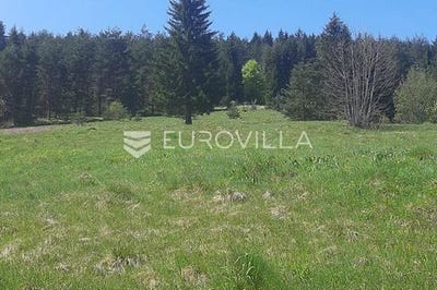/international/hr/karlovac-karlovac-county-310104798779/