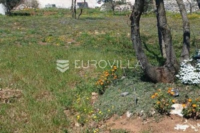 /international/hr/pula-istria-county-120087184332/